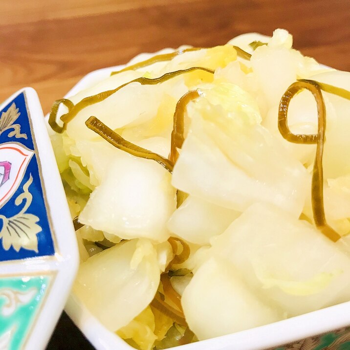 切る!投入!揉むだけお箸が止まらない白菜漬物